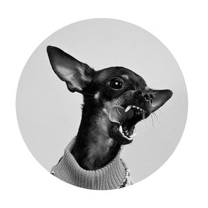 Profile picture for Sergey Parfenov