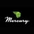 Mercury Intermedia
