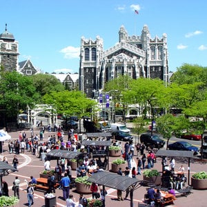 Profile picture for CCNY
