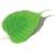 bodhitree