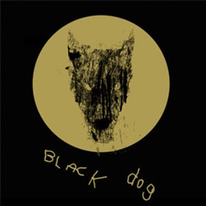Profile picture for Black Dog Films