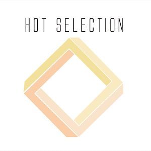 Profile picture for Hot Selection
