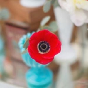 Profile picture for Funky Shack Weddings