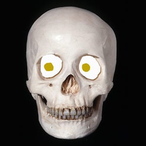Profile picture for Eli Schwanz