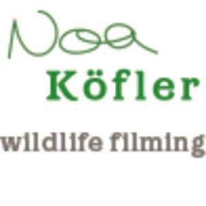 Profile picture for Noa Köfler