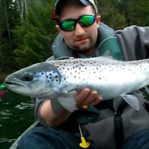 Profile picture for Get Em Wet