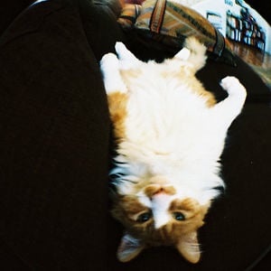 Profile picture for eliot