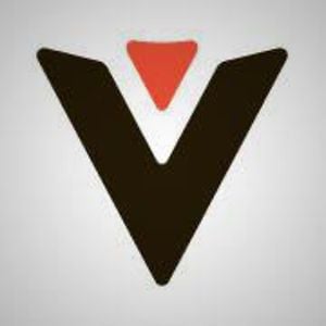Profile picture for VeloVie Bicycles