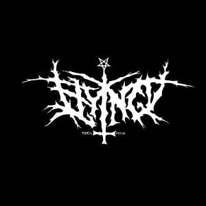 Profile picture for Flying V