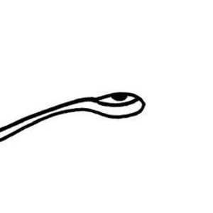 Profile picture for The Tapeworm
