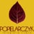 www.popielarczyk.net