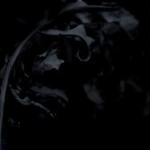 Profile picture for Director Ryan Andrews