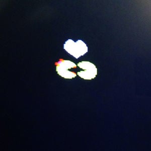 Profile picture for Panty Raid