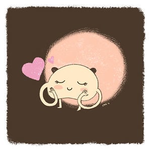 Profile picture for Lauren Morse