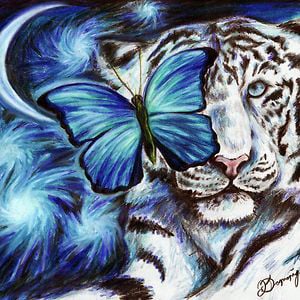 Profile picture for cerys louisa montoya-sharp