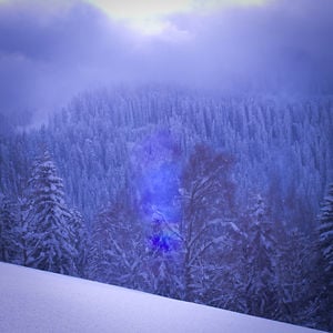 Profile picture for simGn