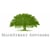 MainStreet Advisors