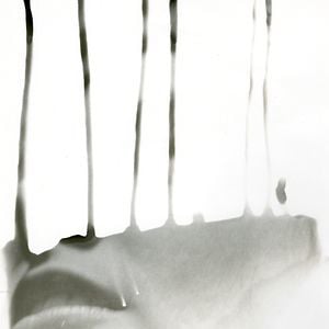 Profile picture for Dominika M