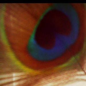 Profile picture for Ludwiczak Ambre