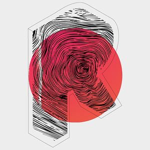 Profile picture for Renato Medeiros