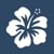 ehawaii.gov
