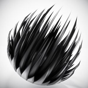 Profile picture for blackpawn