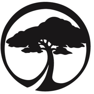 Profile picture for Arbor Collective