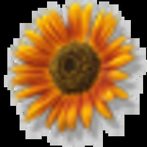 Profile picture for beth lane