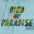 Bird of Paradise