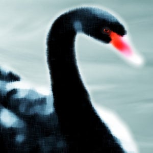 Profile picture for numerized studio
