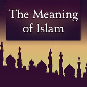 Profile picture for The Meaning of Islam