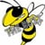 FMHS The Buzz TV
