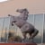 JAMES MADISON MAVERICKS