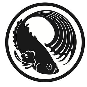 Profile picture for Rumble Fish Production