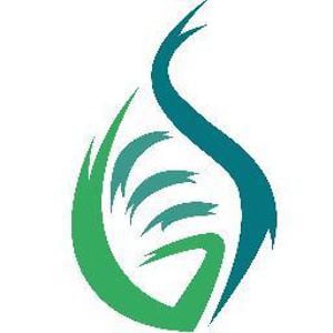 Profile picture for Global Engagement Summit
