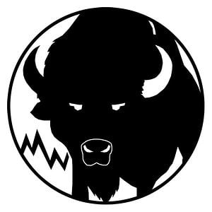 Profile picture for Roaming Studios