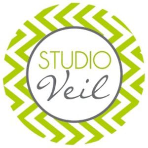 Profile picture for Studio Veil