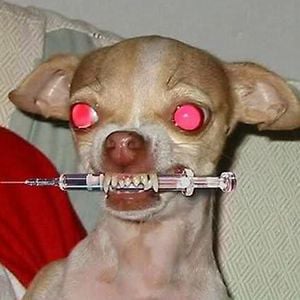 Profile picture for Petty Vendetta