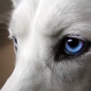 Profile picture for L.E.X.X.