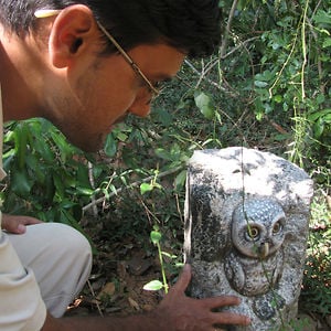 Profile picture for Arnab Bishnu Chowdhury