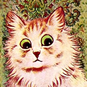 Profile picture for elliott cooke