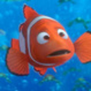 Profile picture for nemo's koi movies
