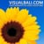 Visual Bali