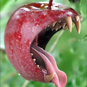 Profile picture for Raw Fruitarian