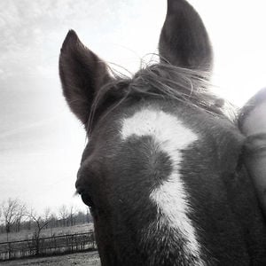 Profile picture for joseph shopen