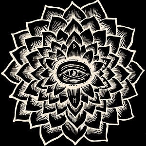 Profile picture for Dolphin Milk Cult