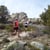 MudSweatTrails