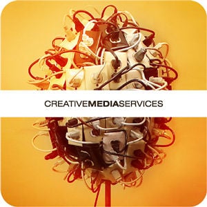 Profile picture for CMS Latvia