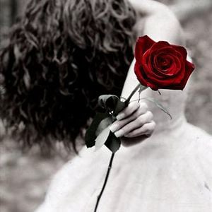 Profile picture for Anna Domini