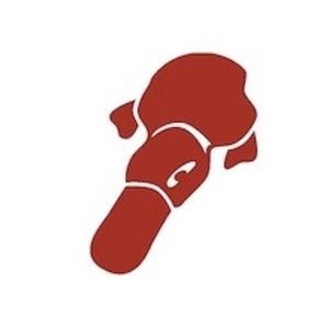 Profile picture for Platypus Affiliated Society